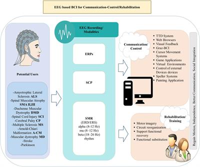 EEG-Based Brain–Computer Interfaces for Communication and Rehabilitation of People with Motor Impairment: A Novel Approach of the 21st Century
